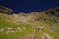 24h Hike Mammut_Ochsner 'Grosse Scheidegg _ Schwarzhorn 2927m' 18_08_2012 (135)